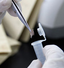 笔迹鉴定 笔迹鉴定