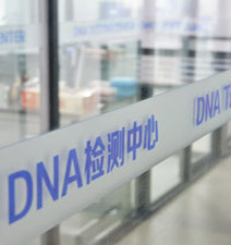 笔迹鉴定 笔迹鉴定